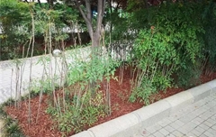 有機(jī)覆蓋物裝扮綠城鄭州