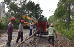 廈門園博園枝葉清運(yùn) 老熊粉碎機(jī)顯身手